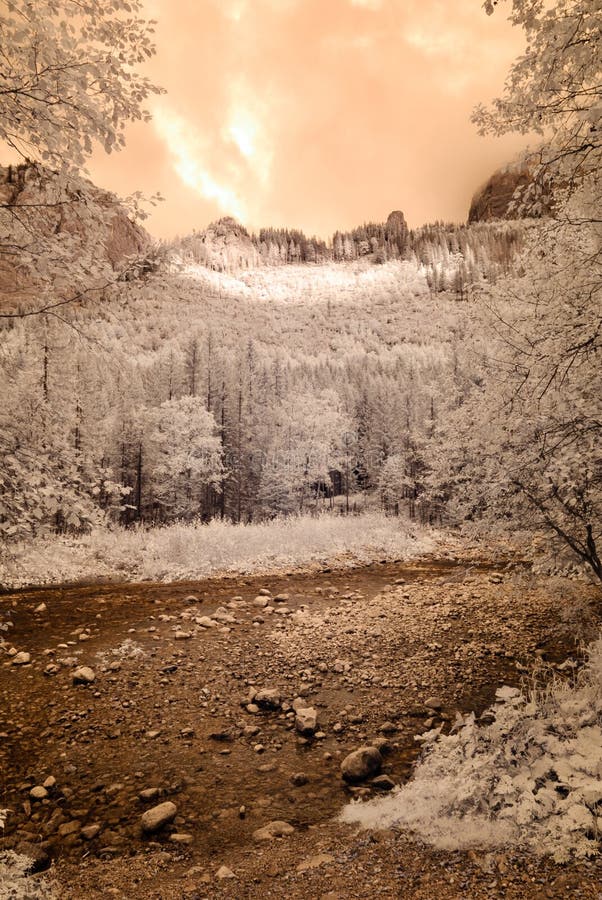 Mountain view from forest. infrared image