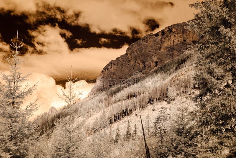 Mountain view from forest. infrared image