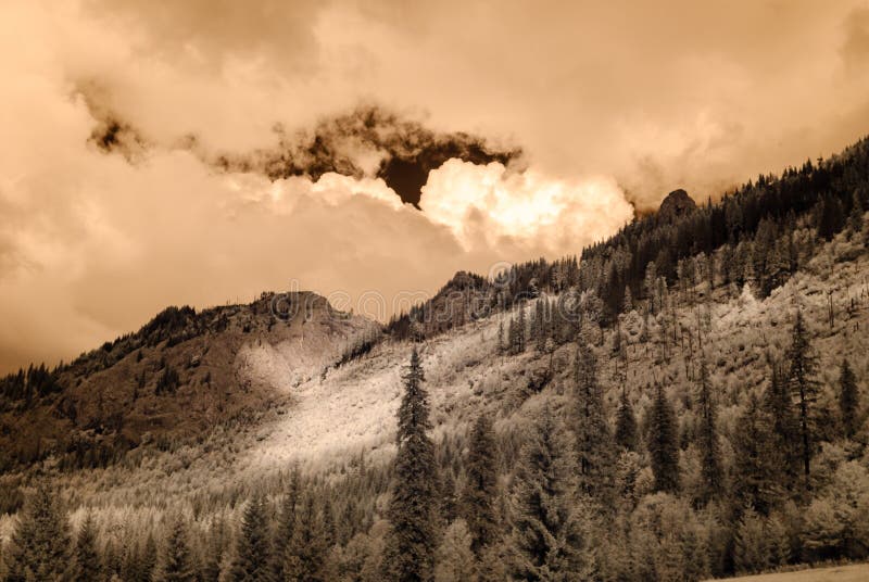 Mountain view from forest. infrared image