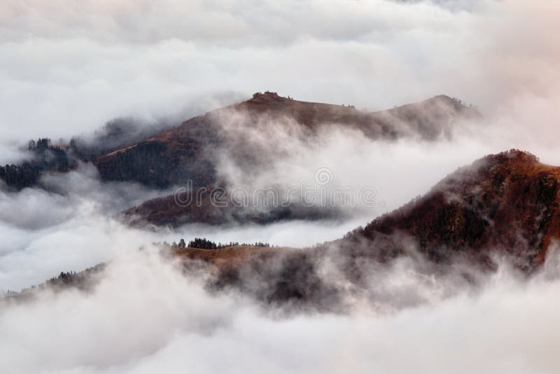Mountain View With Heavy Fog Or Mist Tree In The Thick Fog Caucasus
