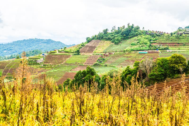 Mountain View at Mon Jam View Point Stock Image Image of branch