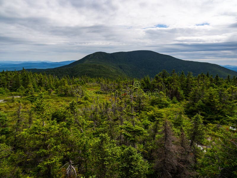 Mountain View, Overlook of Dense Maine Forest, Mahoosuc Range Stock
