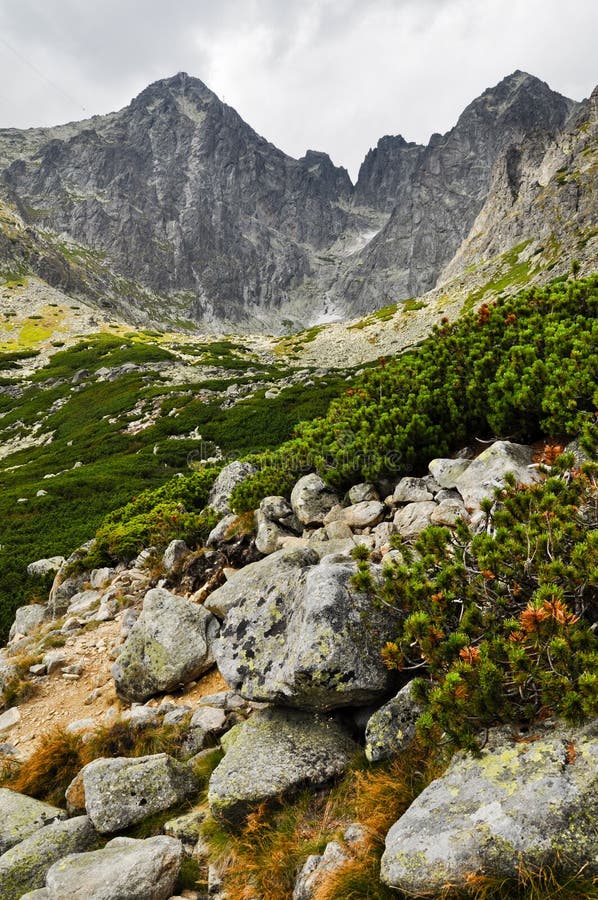 Mountain View élevé de Tatra photos stock Mountain View élevé de Tatra photos stock