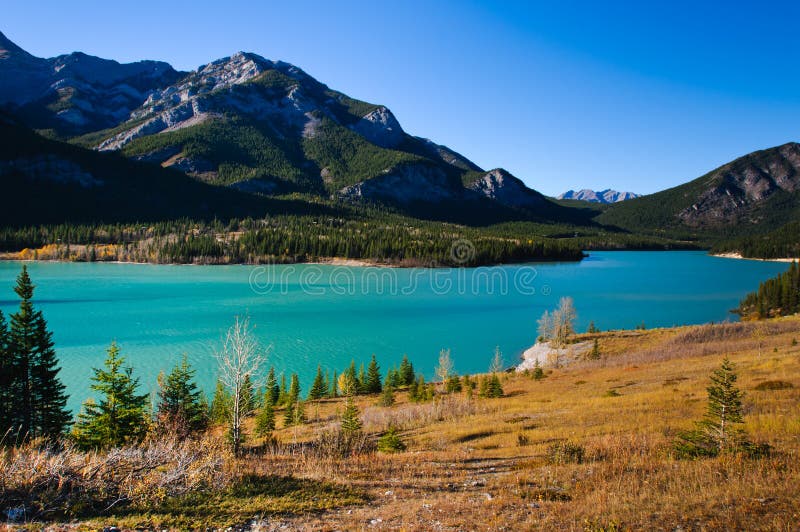 Mountain Views stock photo. Image of canada, meadow, environment 29178216