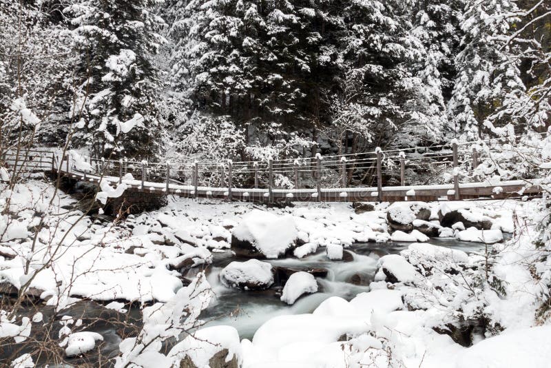 Mountain winter landscape