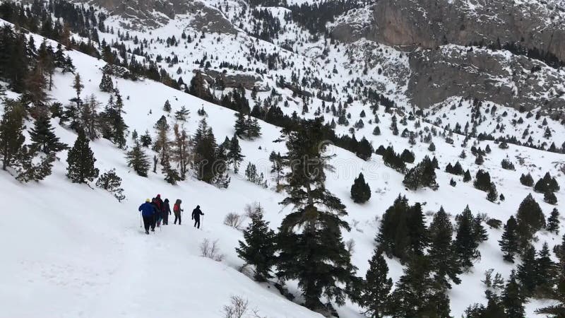 Mountaineers hiking at snowy day