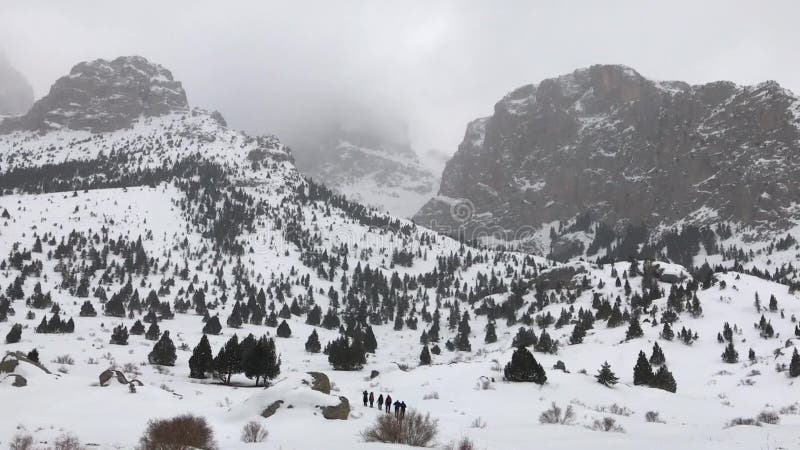 Mountaineers hiking at snowy day