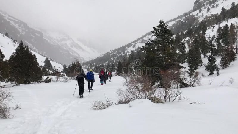 Mountaineers hiking at snowy day