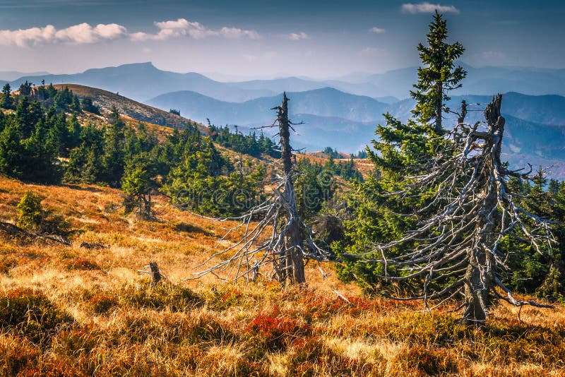 Mountainous country in the national park Mala Fatra.