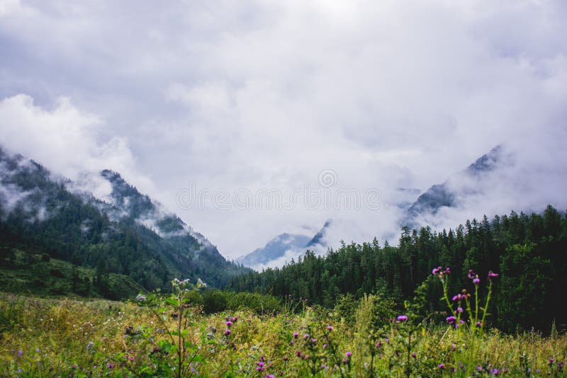 Mountains of Altay