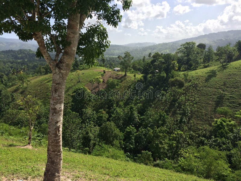 Haiti  Beyond Mountains Coffee