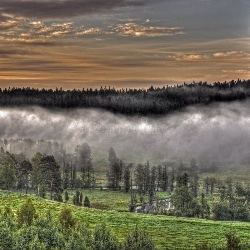 Nebbia mattutina in svedese montagne paesaggio in HDR.