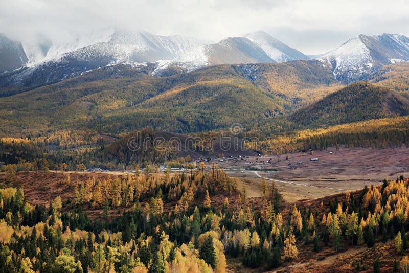 Mountains with forest