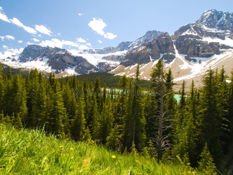Mountains And Forests In Canada Stock Image Image of forest, castle