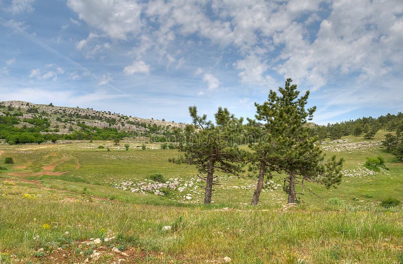 Mountains landscape