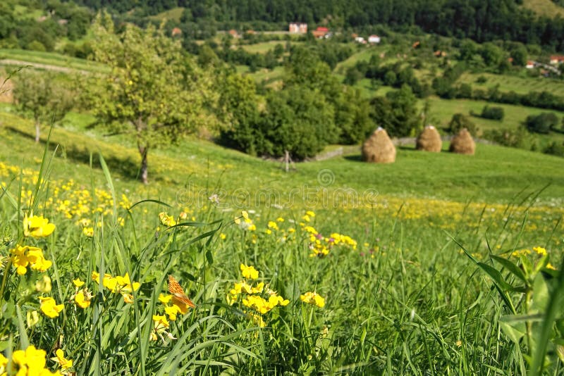 Mountains Landscape