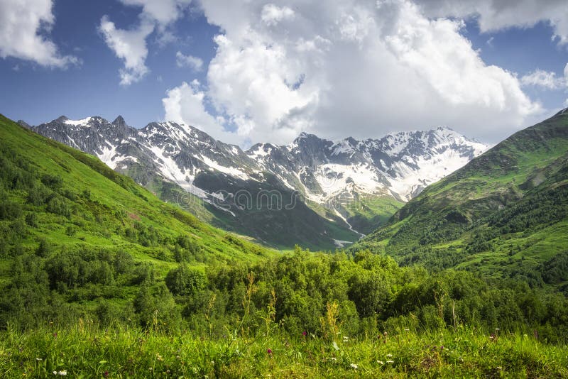 762 Swiss Alps Green Alpine Meadow Hillside Photos Free And Royalty