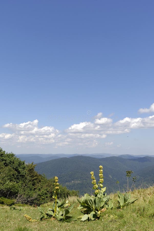 Mountains landscape