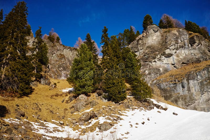 Mountains with trees on a sunny winter day