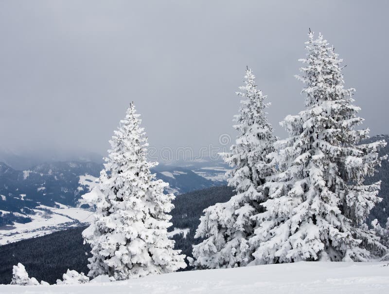 Mountains under snow. Austria