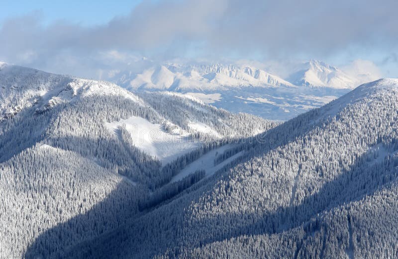 Mountains,wood and snow.