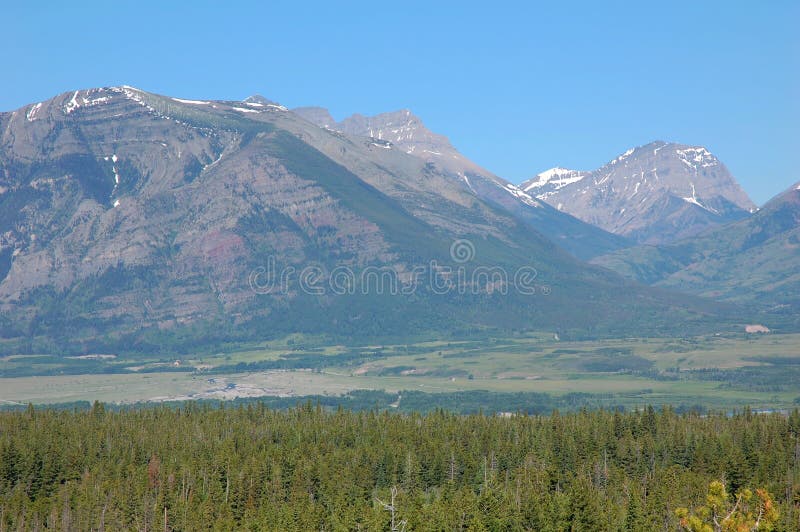 Mountians e foreste del ghiacciaio