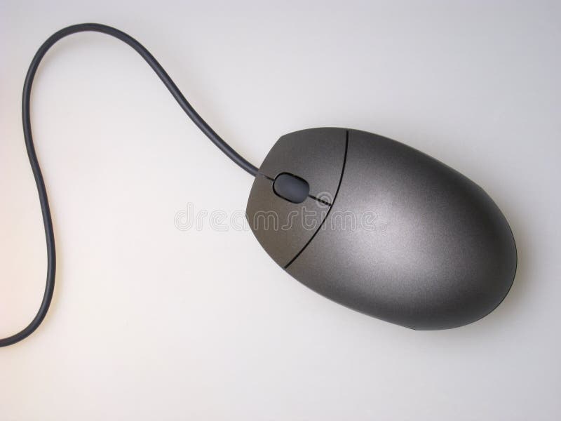Mouse
