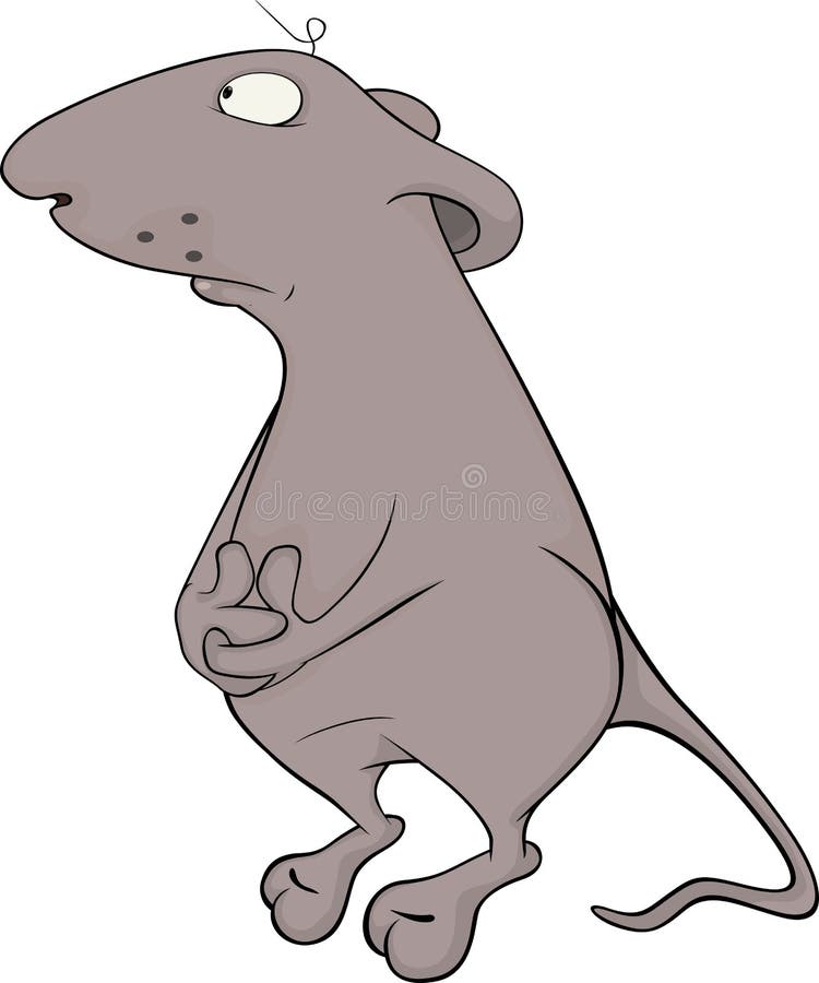 Mouse cartoon stock vector. Illustration of cartoon, rodent - 36017933