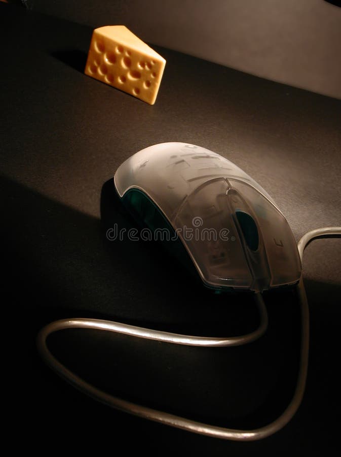 Mouse with cheese stock image. Image of dairy, food, smell 26635057