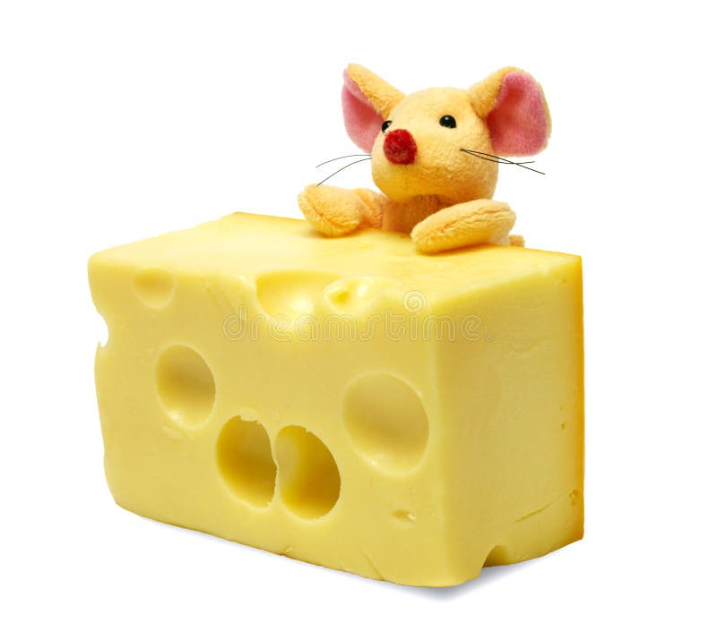 Mouse and cheese stock image. Image of gerbil, mouse, decoy 1409417