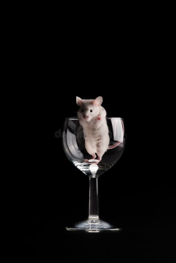 Mouse in glass