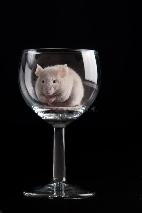 Mouse in glass