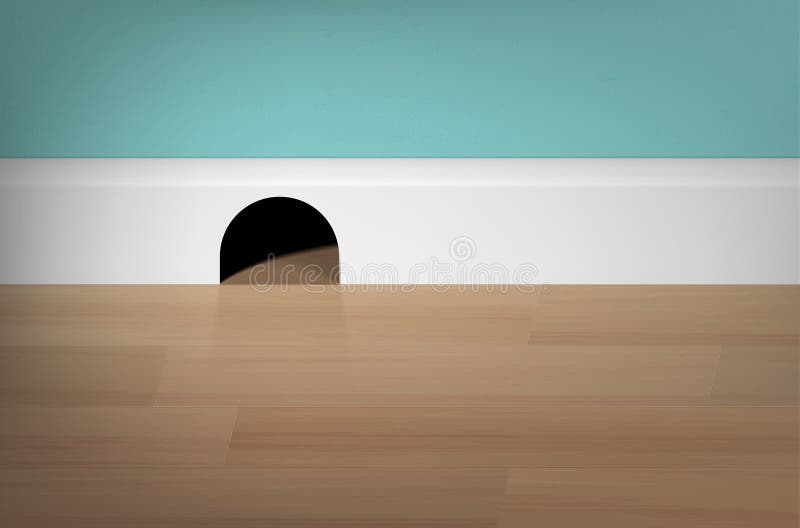 Mouse hole, wooden floor and wall