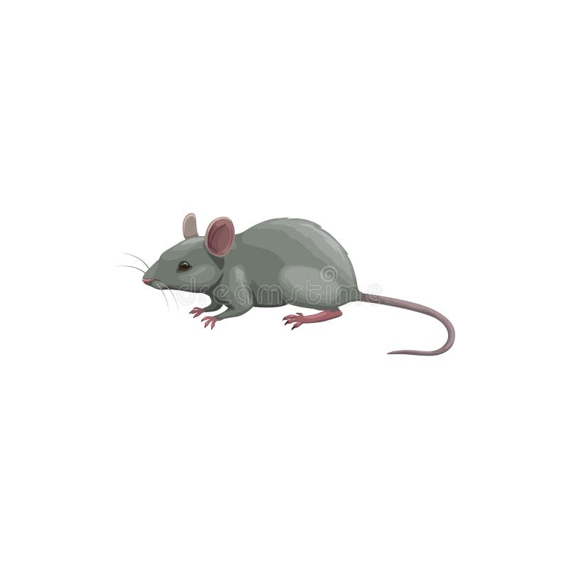 Anti mouse parasite no rat pest logo design Vector Image