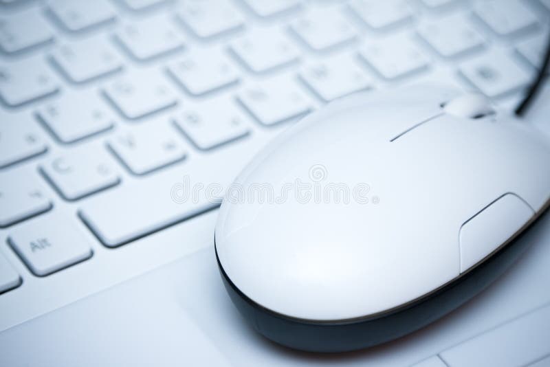 Mouse on the keyboard stock images