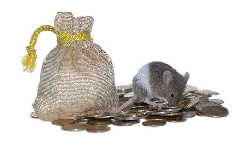 Mouse on pile of money