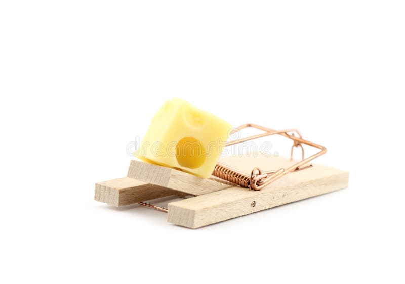 Mouse trap with cheese isolated