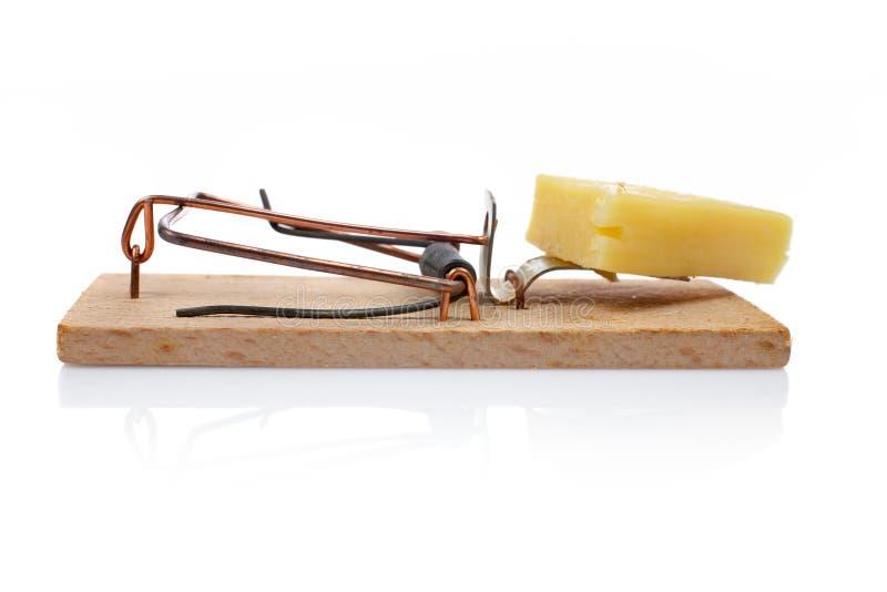 Rat and Mousetrap with Cheese, mouse trap Stock Photo by ©vladimirs  169382166