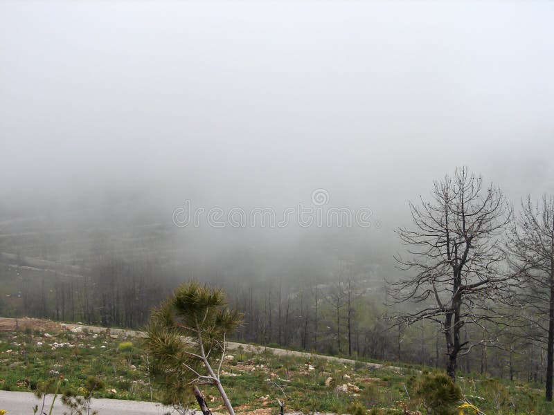 Moussa castle är ett mycket berömt slott i Libanon. En vision för Moussa Castle i Der El Qamar i Shouf-distriktet