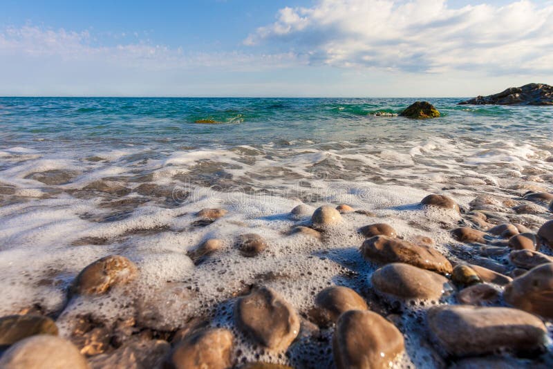 Mousse de mer sur la plage pierreuse photographie stock libre de droits Mousse de mer sur la plage pierreuse photographie stock libre de droits