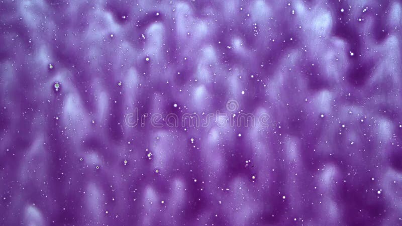 Mousse de nettoyage sur verre de voiture. fenêtre savonneuse. service de lavage de voitures. vue de l'intérieur d'une cabine. fond banque de vidéos