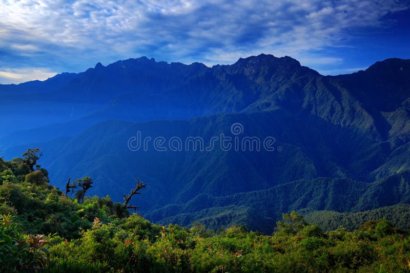 Moutain tropisk skog med blå himmel och moln, Tatama nationalpark, höga Anderna berg av Cordilleraen, Colombia royaltyfri foto Moutain tropisk skog med blå himmel och moln, Tatama nationalpark, höga Anderna berg av Cordilleraen, Colombia royaltyfri foto