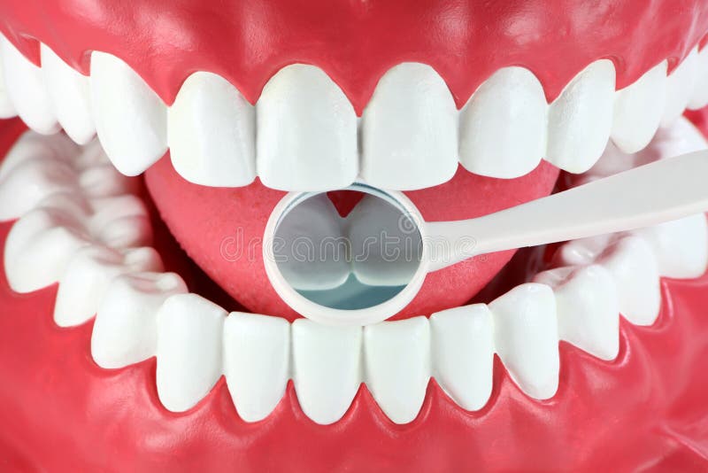 Dental Mirror in Patient Mouth Teeth Reflection Stock Photo Image of