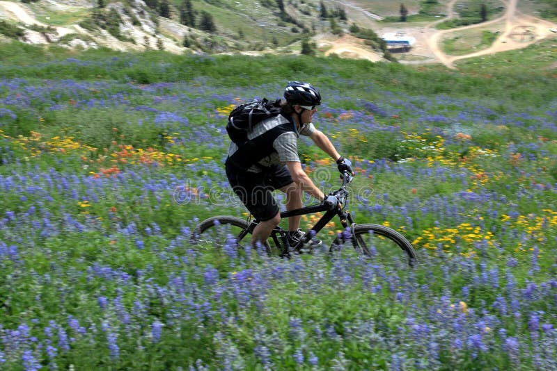 Movimento de bicicleta de montanha foto de stock
