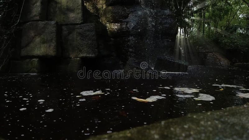 Movimento lento Cascata in una foresta di bambù tropicale