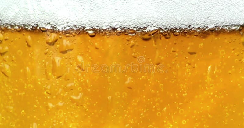 Movimiento De Las Burbujas Dentro De Un Vidrio De Cerveza Con Descensos Y De Espuma Como Fondo Almacen De Video - Vídeo de alcohol, fresco: 67194199 Movimiento De Las Burbujas Dentro De Un Vidrio De Cerveza Con Descensos Y De Espuma Como Fondo Almacen De Video - Vídeo de alcohol, fresco: 67194199