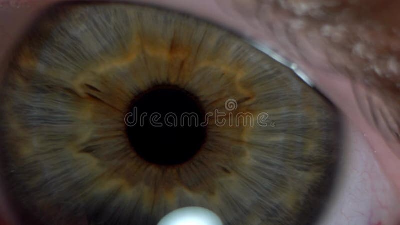 Movimiento lento de un ojo masculino muy cercano con toque de color azul naranja amarillo almacen de metraje de vídeo