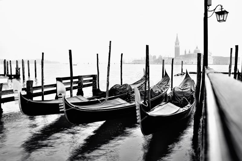 Moving gondolas in venice