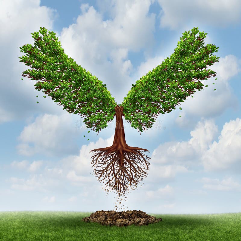 Moving up and the power of success with a growing tree in the shape of wings that has emerged out of the ground and has taken flight upward to opportunity as a business concept of the evolution of successful leadership and strategic planning.