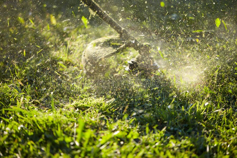 Mow the Grass Trimmer. the Process of Mowing the Grass with a Trimmer Closeup Stock Image